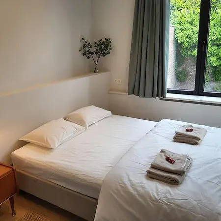 Comfortable Flat Close To Flagey Apartment Brussels