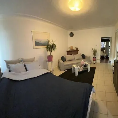 公寓 Studio Au Coeur D'ixelles