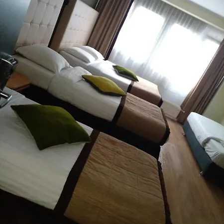 Albert Hotel Hotel