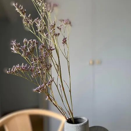 Maison Cokoon *