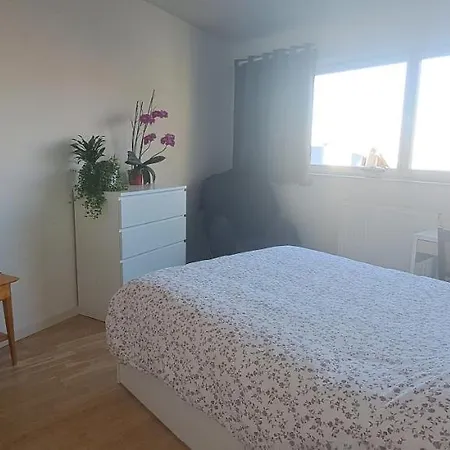 Brusilia Parc Appartement