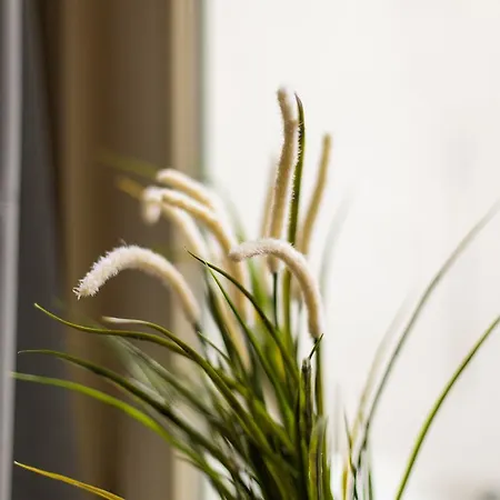 Cityzen Grand Place Appartement