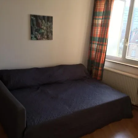 Apartman Sunny Studio In Brussels, With A Balcony View Of The Basil. Brüsszel