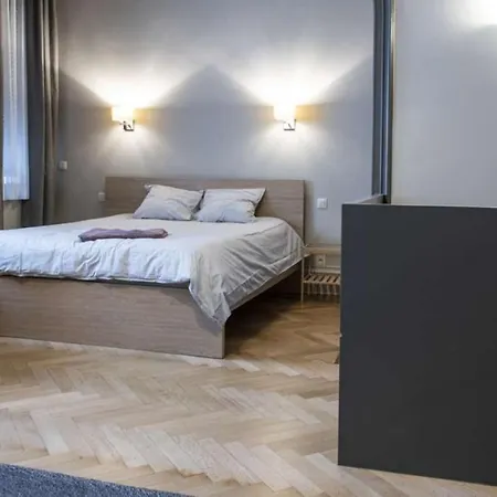 Chic 3-bedroom For Rent To Professionals In Ixelles * Brussels
