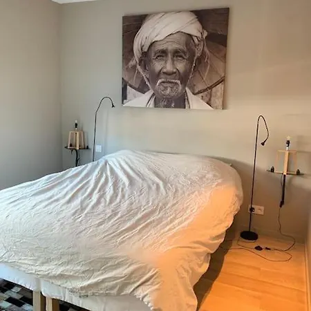 Penthouse Lumineux +2 Terrasses Apartment Brussels