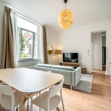Marteau V-carapace Appartement