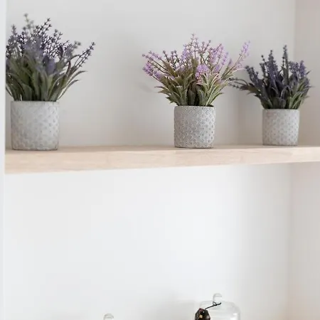 Duplex Brusel