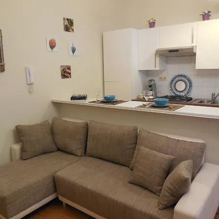 Central Flats Appartement