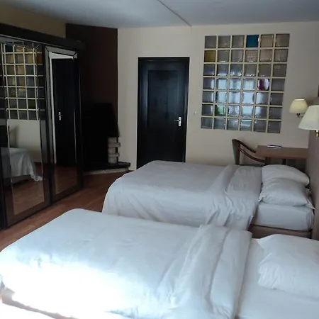 Albert Hotel Hotel Brussels