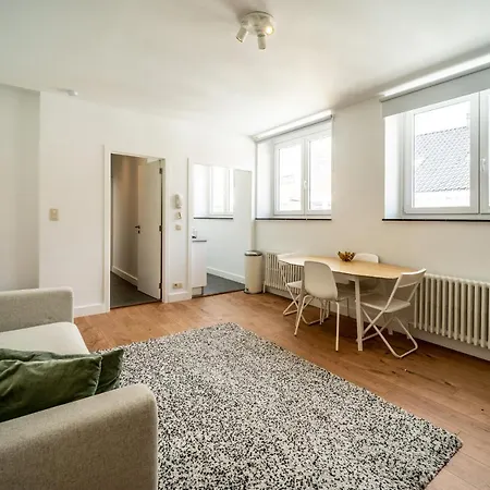 Marteau Vi-carapace Appartement Bruxelles