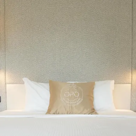 Opo Hotel 4*