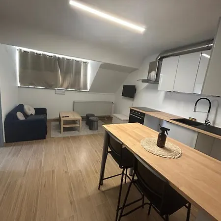 Elegance & Comfort Brand New Near To Atomium Apartment