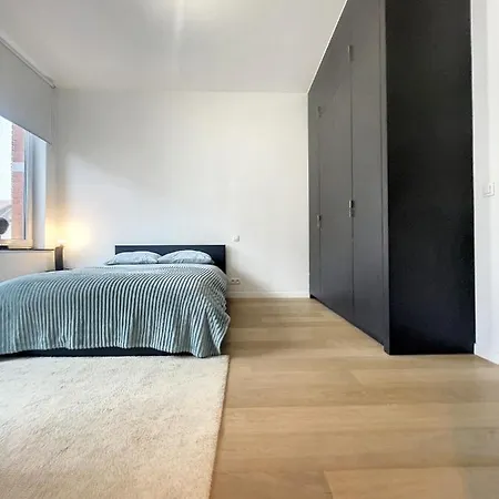 דירה Elegant Flat Cinquantenaire בריסל