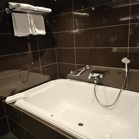 Hotel Mercure Centre Midi 4*