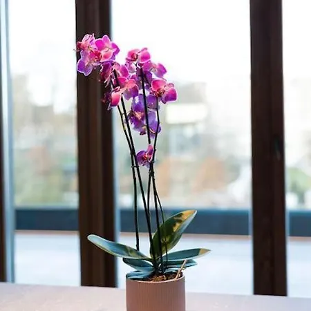 Apartman Penthouse Duplex Vue Imprenable