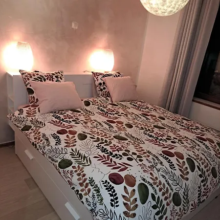 Apartment Confortable Au Coeur De *