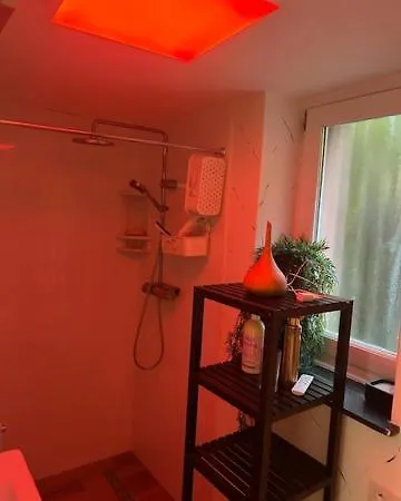 Homestay Zen Atomium Et Palais De L'exposition Brussels