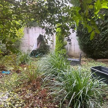 Zen Atomium Et Palais De L'exposition Homestay