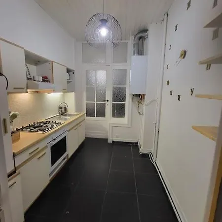 Style Haussmannien 1 Bedroom Daire