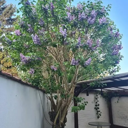 Magnolia Garden New And Fully Equipped Διαμέρισμα Βρυξέλλες