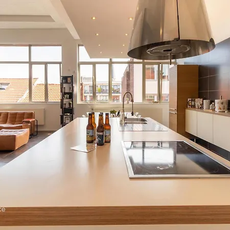 Loft Spacieux Et Moderne