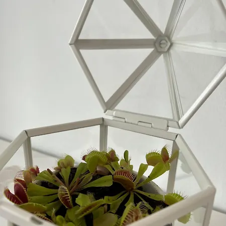 Lumineux Dans Un Quartier Anime Apartamento Bruxelas