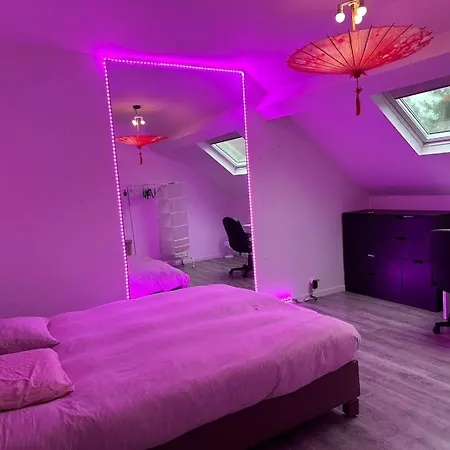 Dreamland Eu, * Bruksela