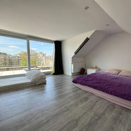 Dreamland Eu, Bruksela