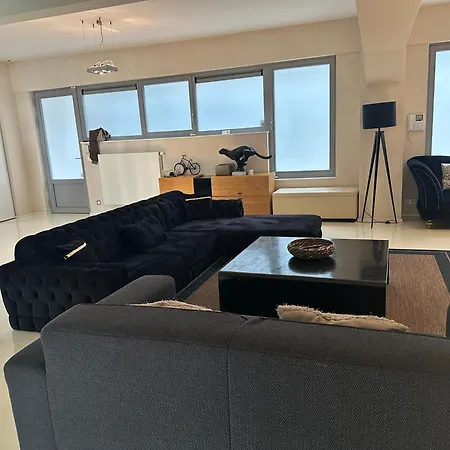 Beautiful Loft In The Center Of *