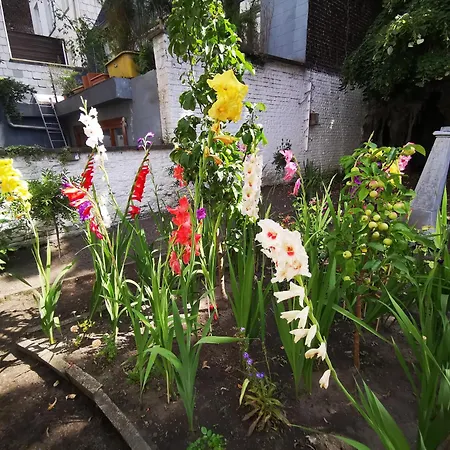 Maison Jamaer לינה וארוחת בוקר בריסל