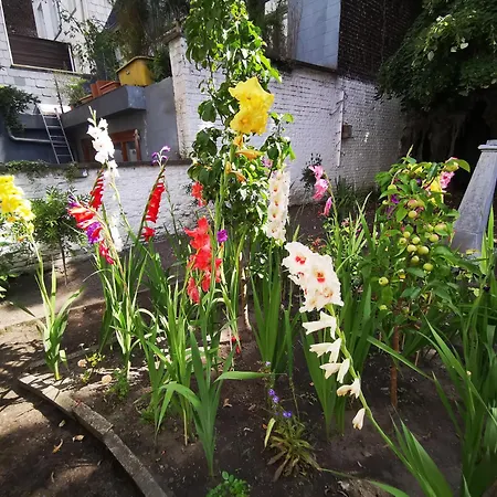 Maison Jamaer Bed & Breakfast Brusel