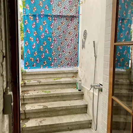 Calm, & Birdsong Brüksel