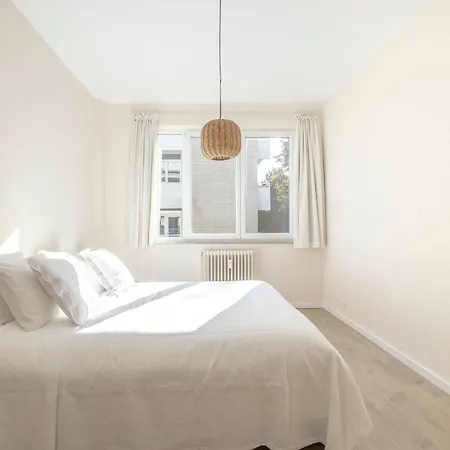 Cosy 1 Chatelain, Brugmann *