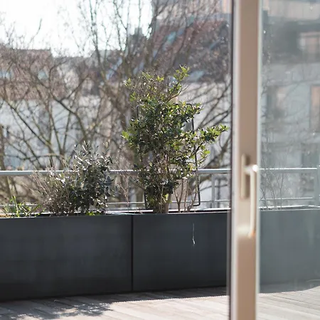 Apartamento 400m² Fastueux Central
