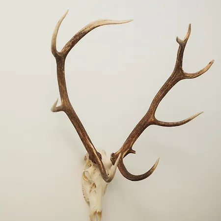 600m² Luxe & Jardin, Coeur Διαμέρισμα *