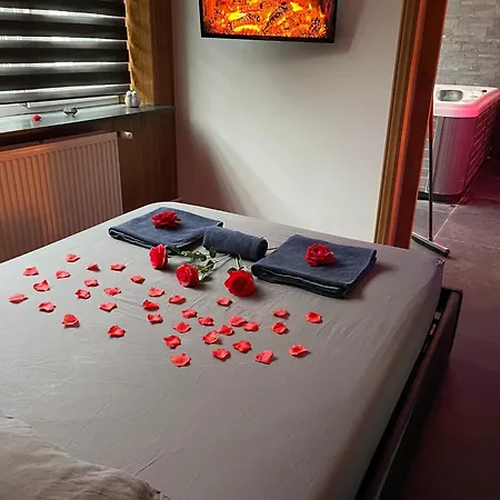 Fenix-spa Appartement Brussel