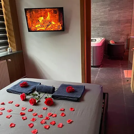 Fenix-spa Bruselas