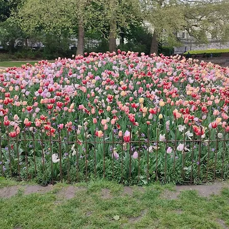 Charming In Etterbeek 70 M² With Balcony Brussels