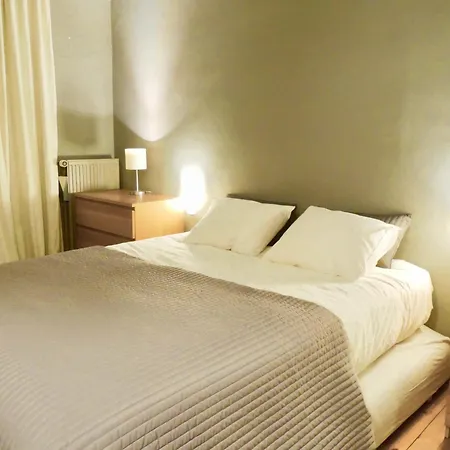 公寓 Spacious In Brussels, Large Private Garden 布鲁塞尔