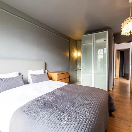 公寓 Spacious In Brussels, Large Private Garden 布鲁塞尔