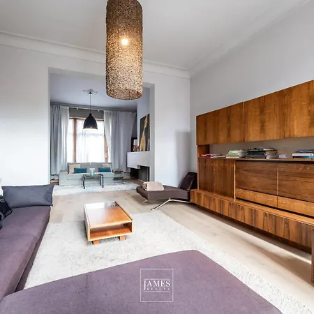 公寓 Spacious In Brussels, Large Private Garden