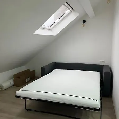 The Cosy House