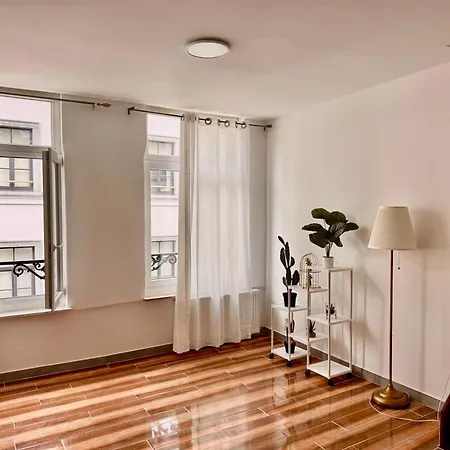 公寓 Grand Place Apartement