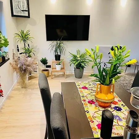 Town House With Garden - 1 With Shared Bathroom 民宿 布鲁塞尔