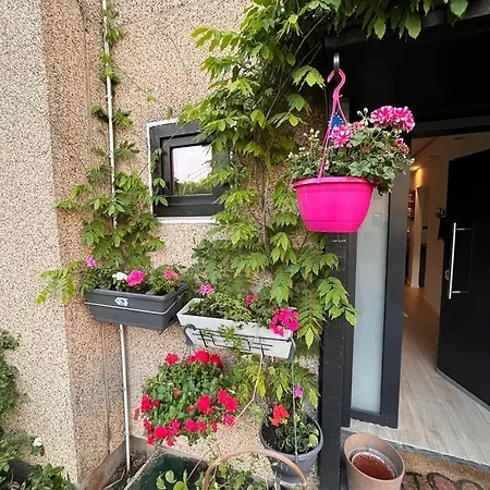 Town House With Garden - 1 With Shared Bathroom Habitación en casa particular Bruselas