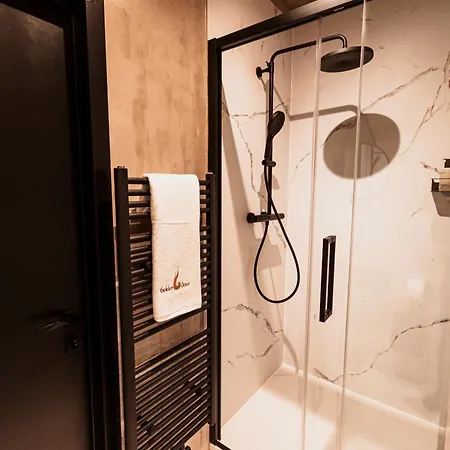 Apartment Golden Dove Luxury Brussels