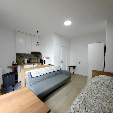 Charming In Saint Josse Noode 30 M² Garden View Bruselas