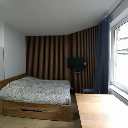 Charming In Saint Josse Noode 30 M² Garden View 公寓