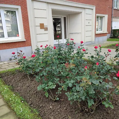 Charming In Etterbeek 70 M² With Balcony * Brüsszel