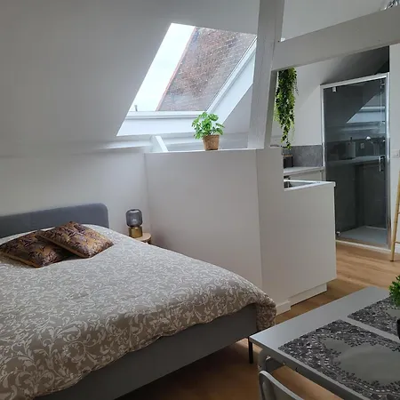 Charmante Maison Idéalement Située Bruxelles